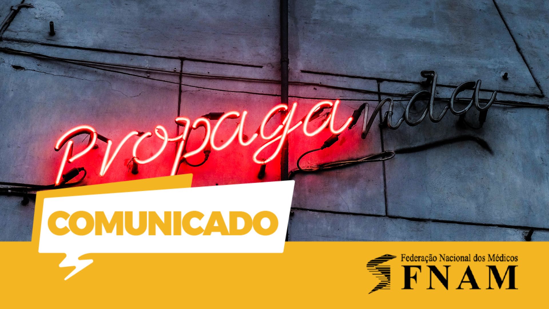 Não são anúncios, são obrigações: FNAM exige respostas para a falta de médicos de família